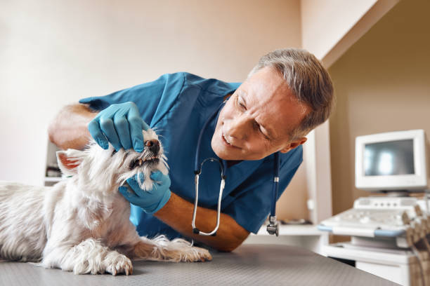 Best Weekend Emergency Dentist in Murrells Inlet, SC